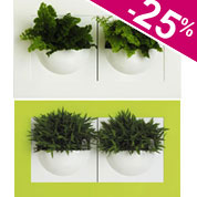 Quadro Vegetal - Green Gallery Double - Elho